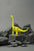 Brachiosaurus - Kit en carton Assembli Fluor Yellow