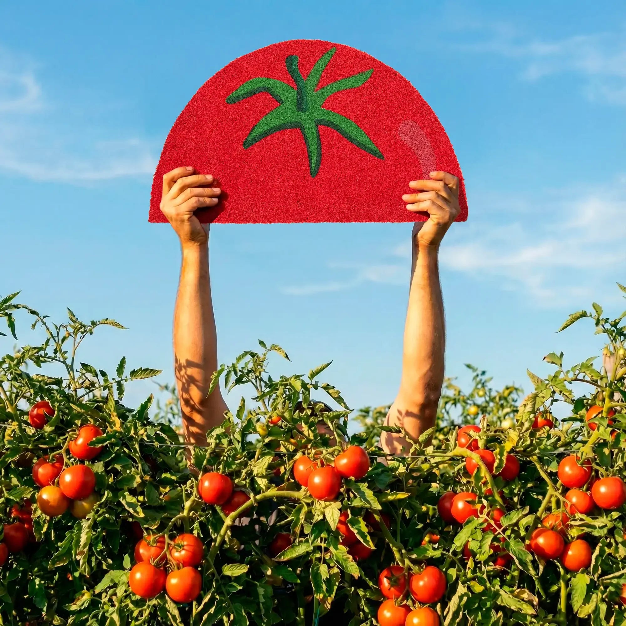 Tomato - Paillasson