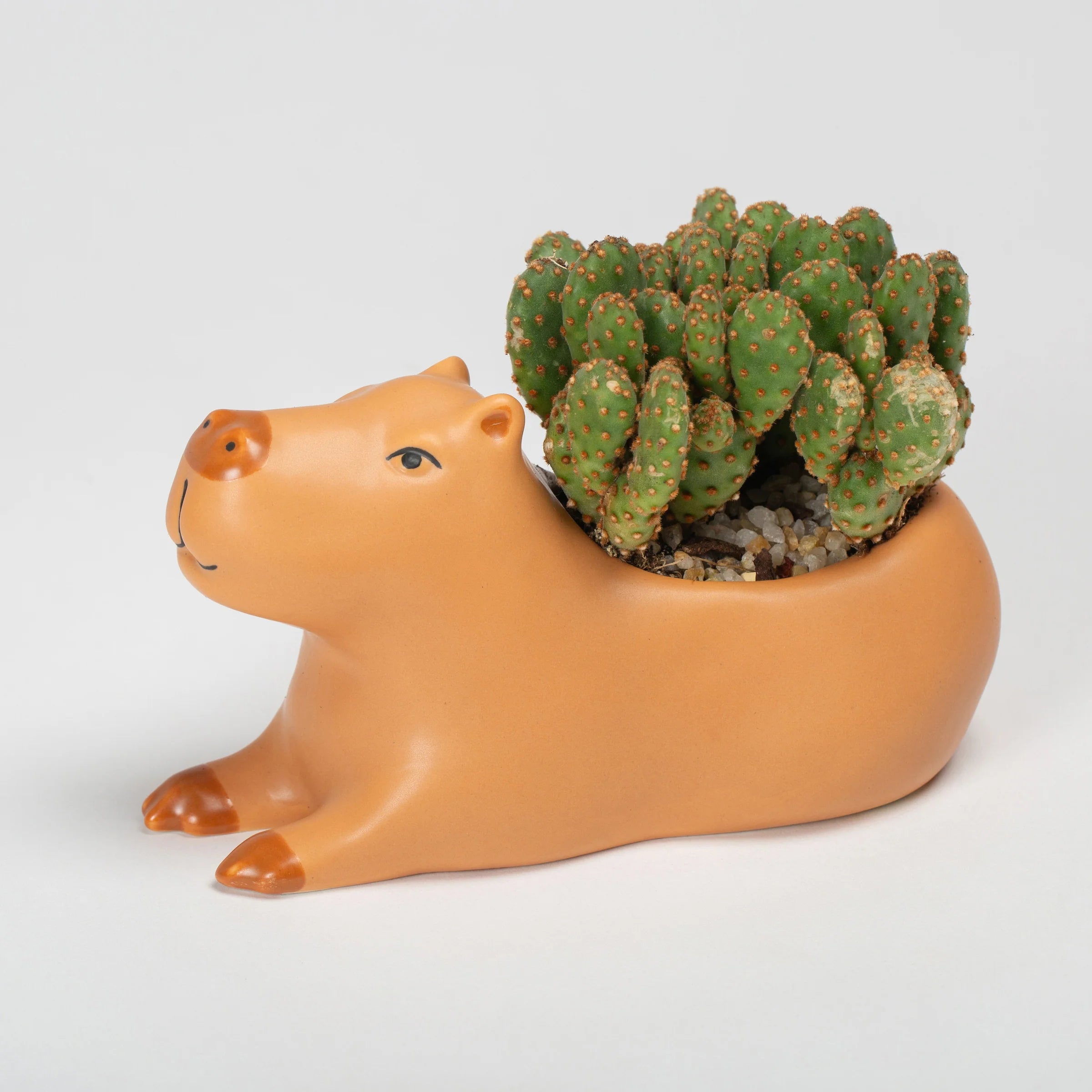 Cappy the Capybara Planter - Ceramic Planter