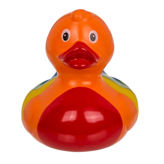 Rainbow rubber duck - Canard
