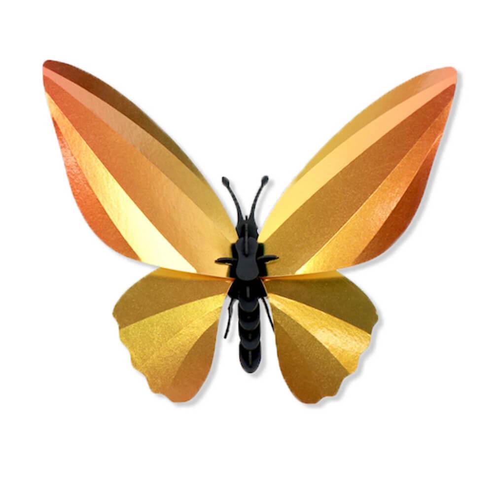Birdwing Butterfly - Kit insecte en carton Assembli 