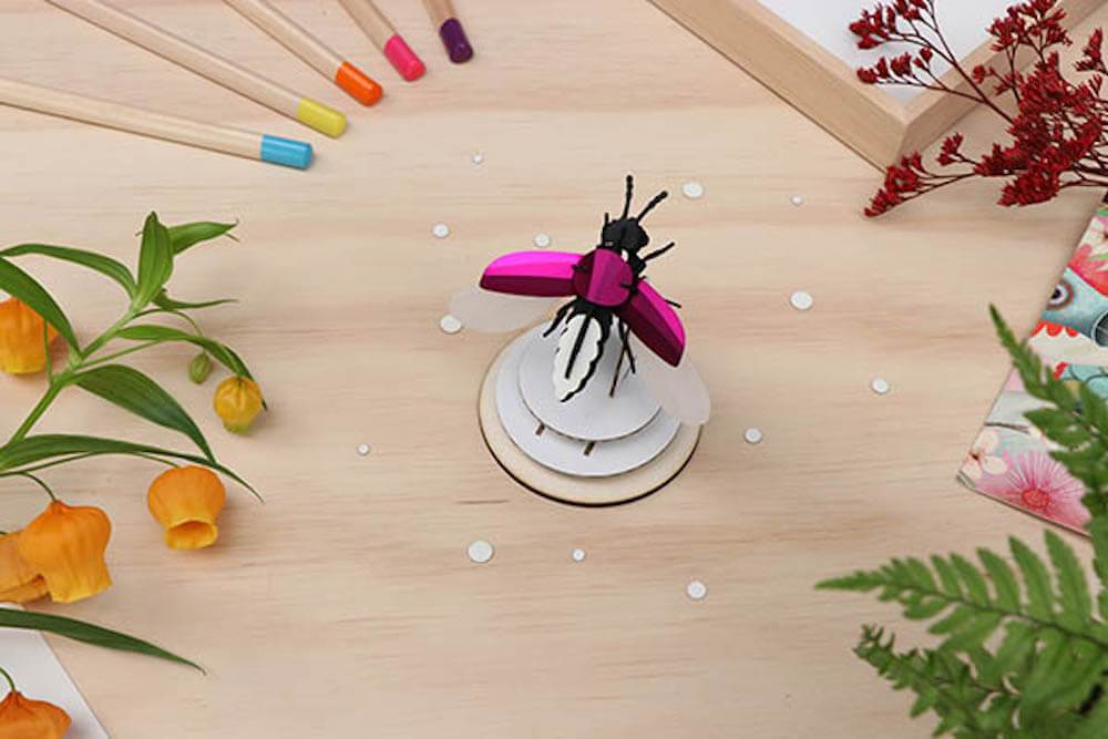 Firefly - Kit insecte en carton Assembli 