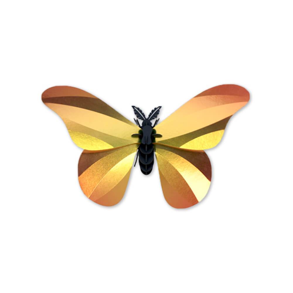 Giant Silk Butterfly - Kit insecte en carton Assembli 