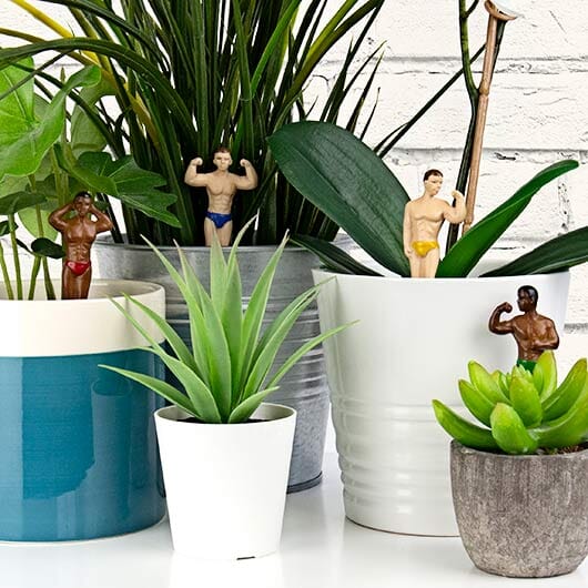 Hunks - Décoration de plantes x4pcs Gift Republic 