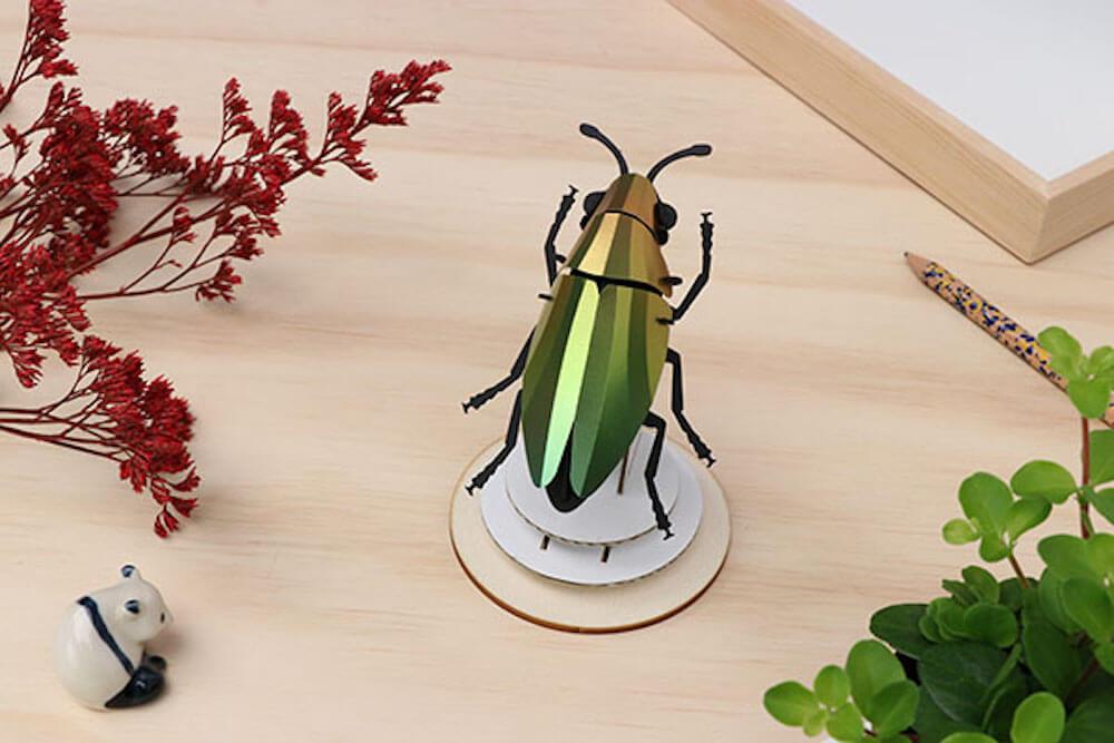 Jewel Beetle - Kit insecte en carton Assembli 