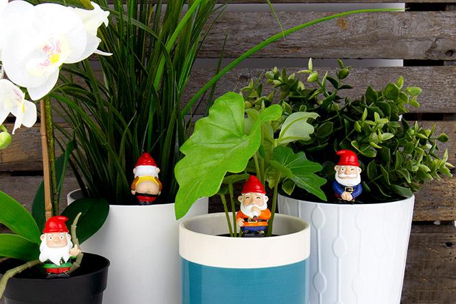 Mini Naughty Gnomes - Décoration de plantes x4pcs Be Color 