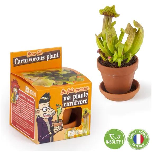 Plante carnivore - Kit terre cuite 8 cm Radis et Capucine 