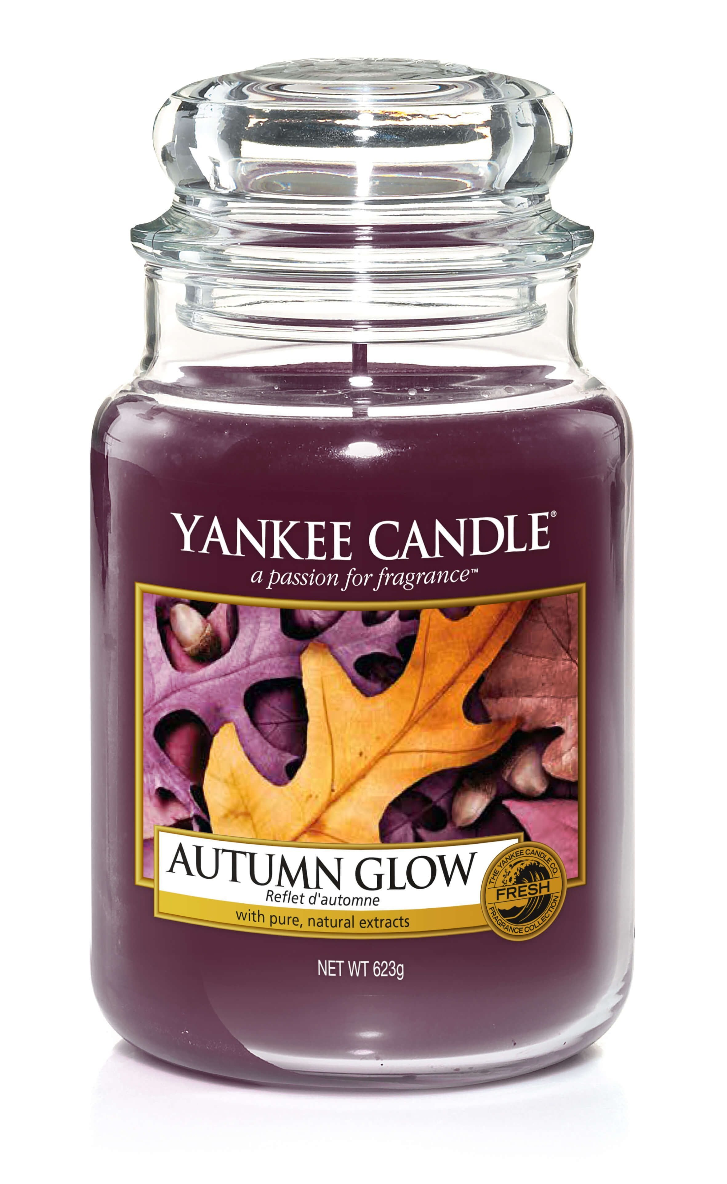 Reflet d'automne - Jarre Yankee Candle 