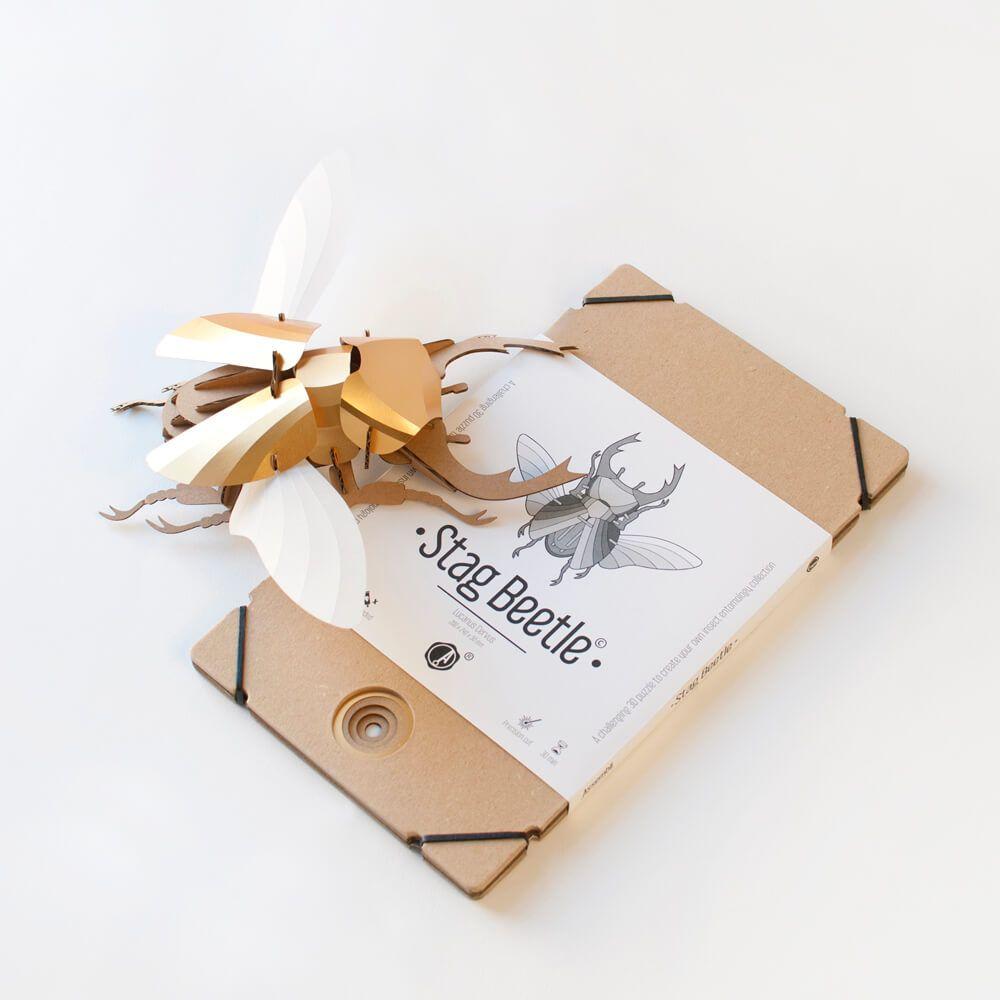 Stag Beetle - Kit insecte en carton Assembli 