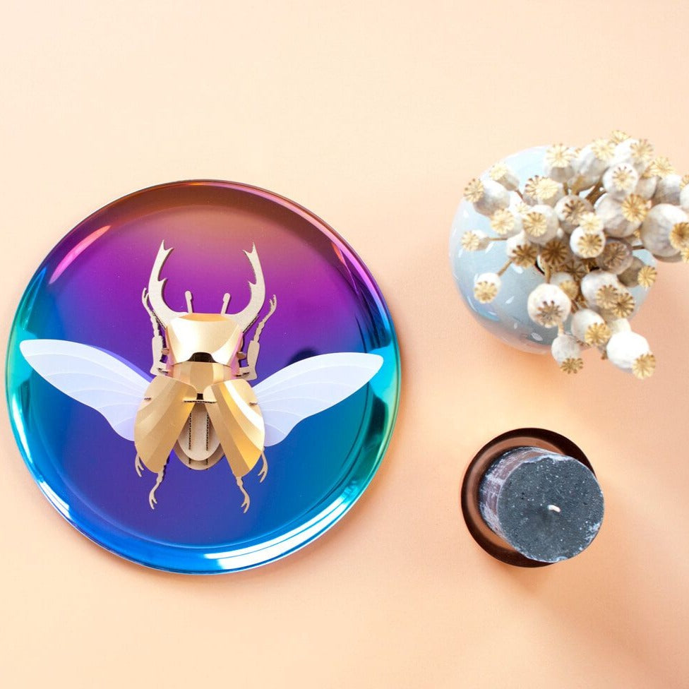 Stag Beetle - Kit insecte en carton Assembli 