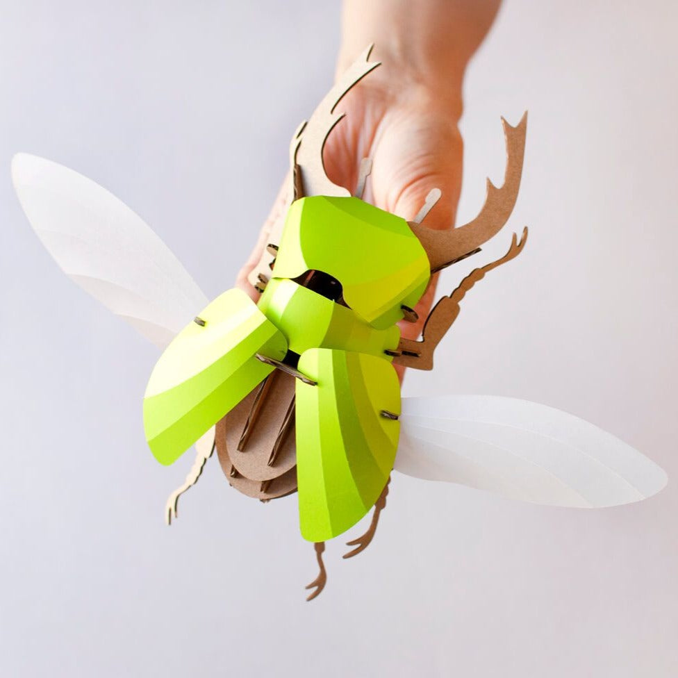 Stag Beetle - Kit insecte en carton Assembli 
