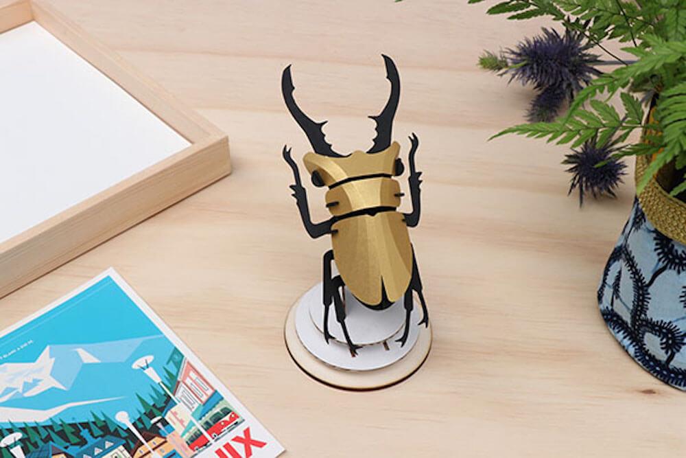 Stag Beetle small - Kit insecte en carton Assembli 