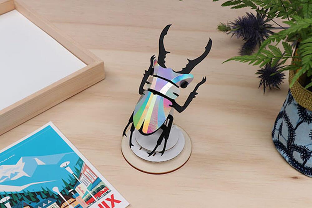 Stag Beetle small - Kit insecte en carton Assembli 