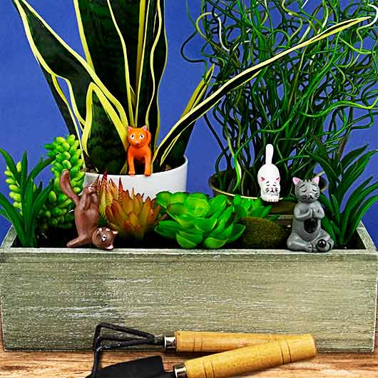 Yoga Cats - Décoration de plantes x4pcs Gift Republic 
